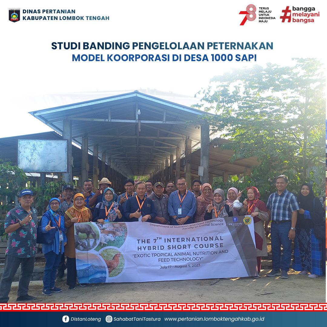 Studi Banding Pengelolaan Peternakan Model Koorporasi di Desa 1000 Sapi